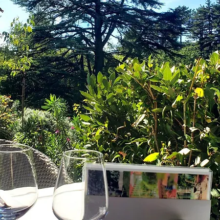 L'auberge Du Cedre Lauret (Herault)