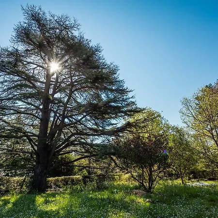 L'auberge Du Cedre * Lauret (Herault)