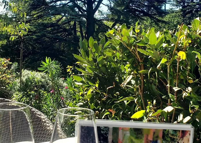 L'auberge Du Cedre Lauret (Herault)