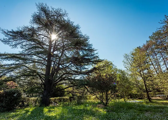 L'auberge Du Cedre * Lauret (Herault)